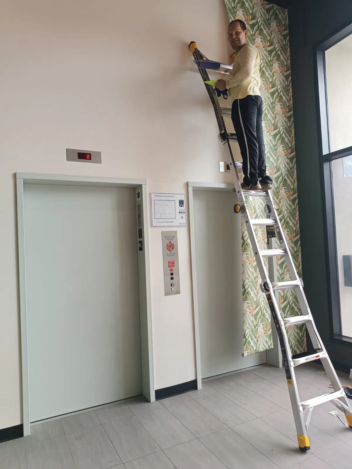 Professional wallpaper installer in Cherry Creek, Denver